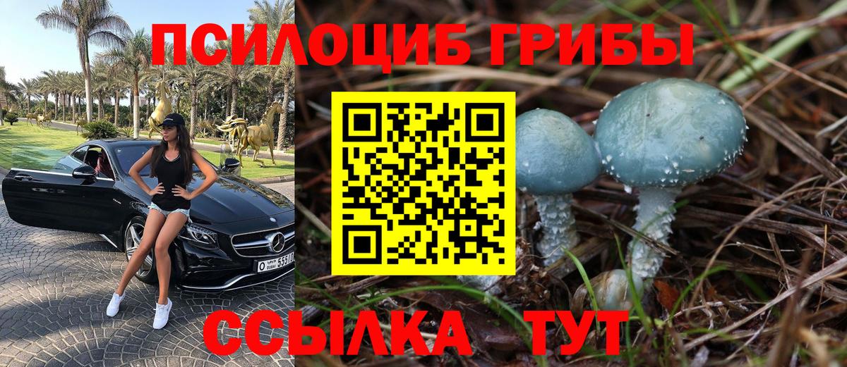 Галлюциногенные грибы Psilocybe Изобильный